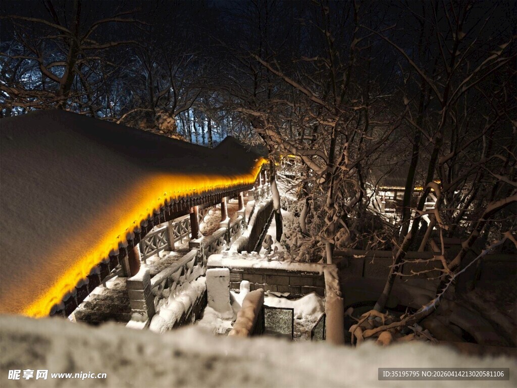 雪夜中发光的蜿蜒雪道