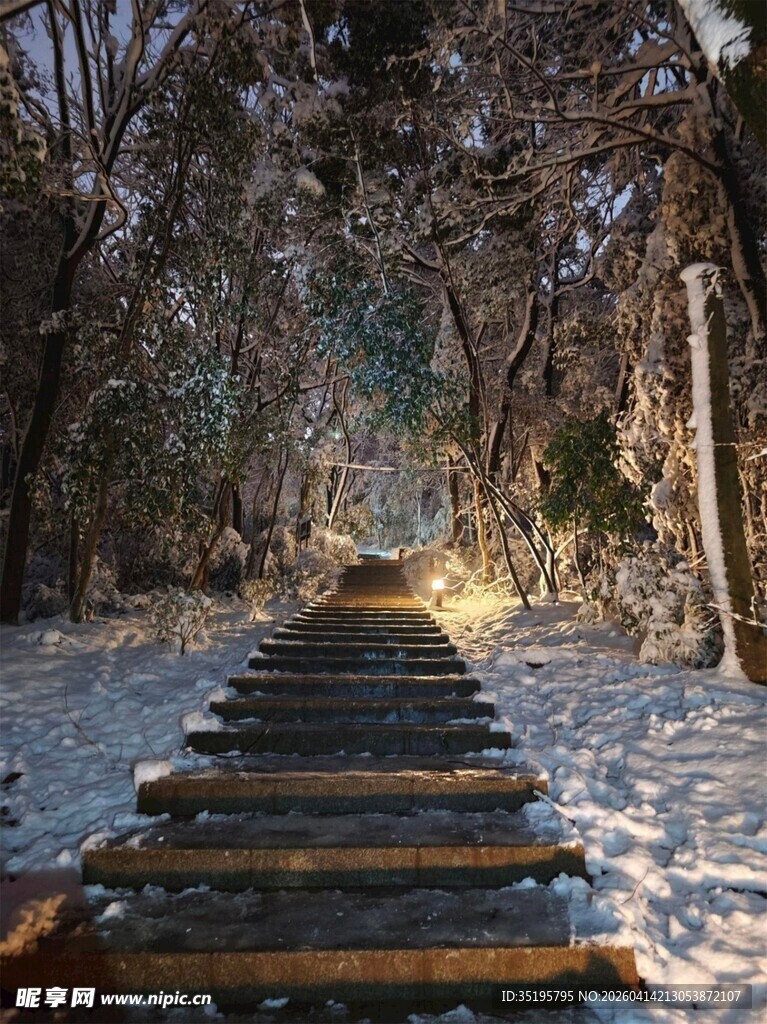 雪林中小径的木质步道