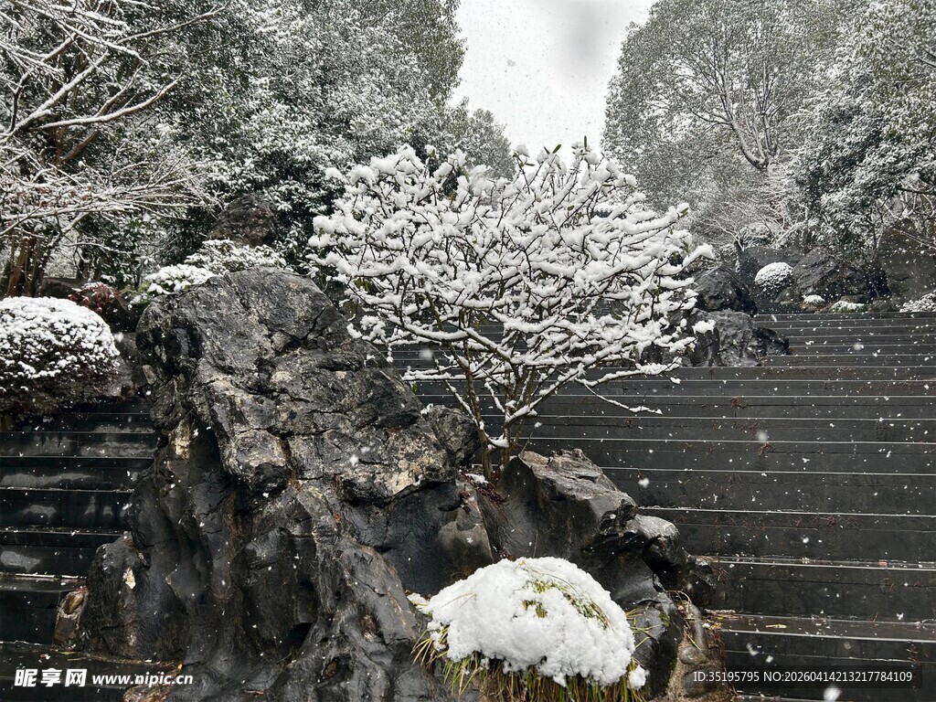 雪覆繁花石阶旁景致清幽