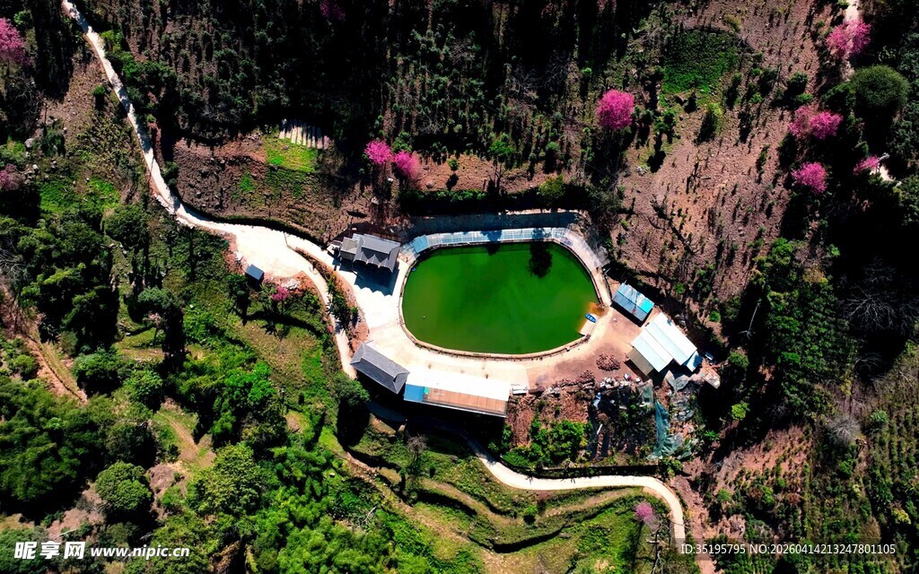 山间泳池绿意环绕的度假地