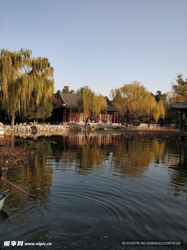 湖畔垂柳映景宁静风光