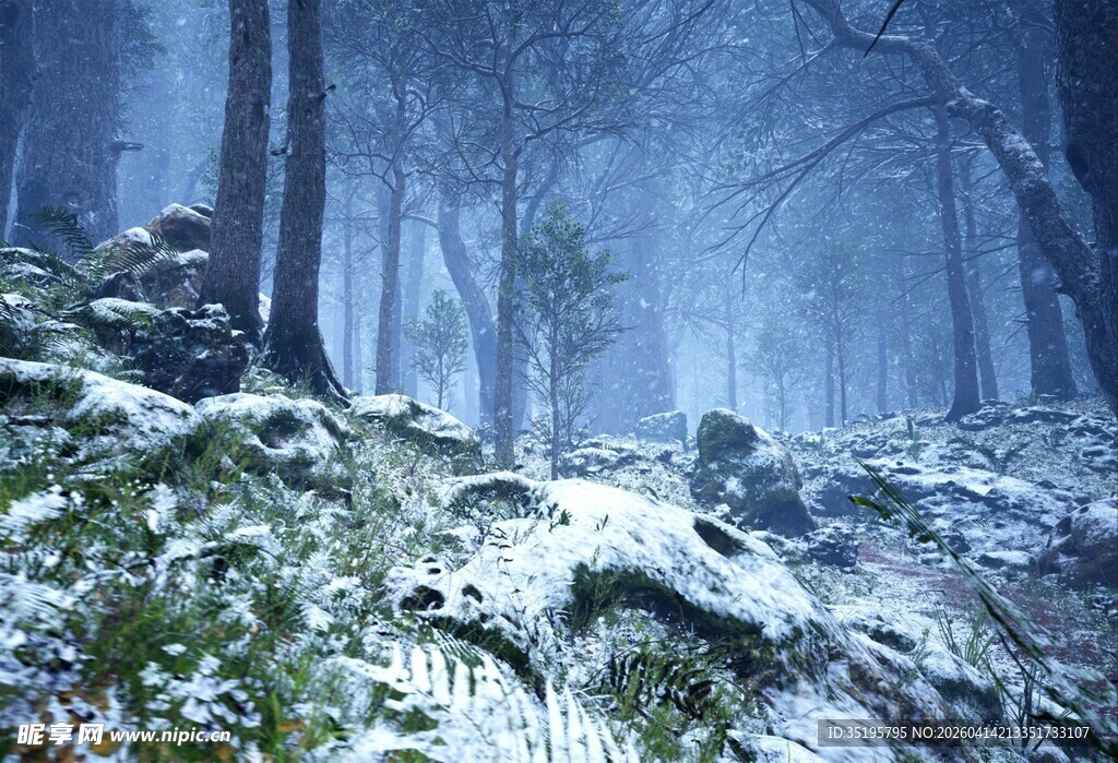 雪覆山林的静谧冬日景象