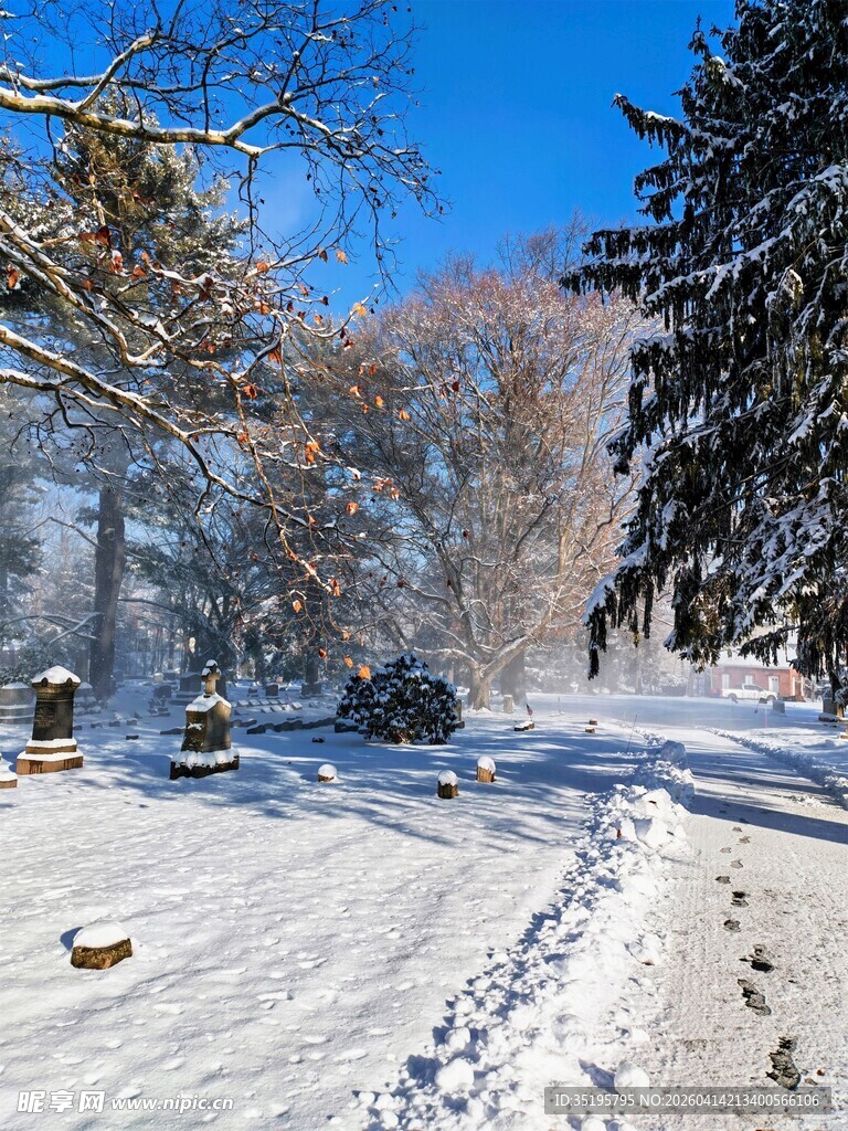 冬日雪景中的静谧林间小道