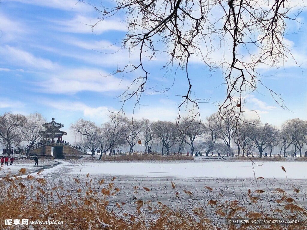 冬日雪景下的开阔景致