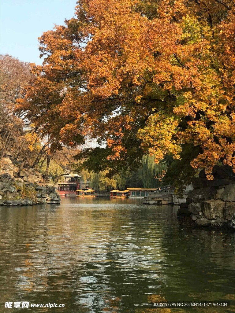 秋日湖畔斑斓树景
