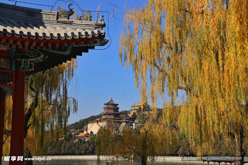 古建旁垂柳映蓝天美景