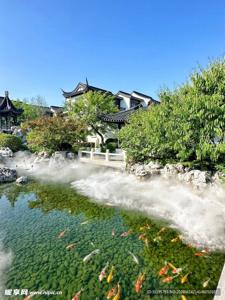 中式庭院锦鲤池景观