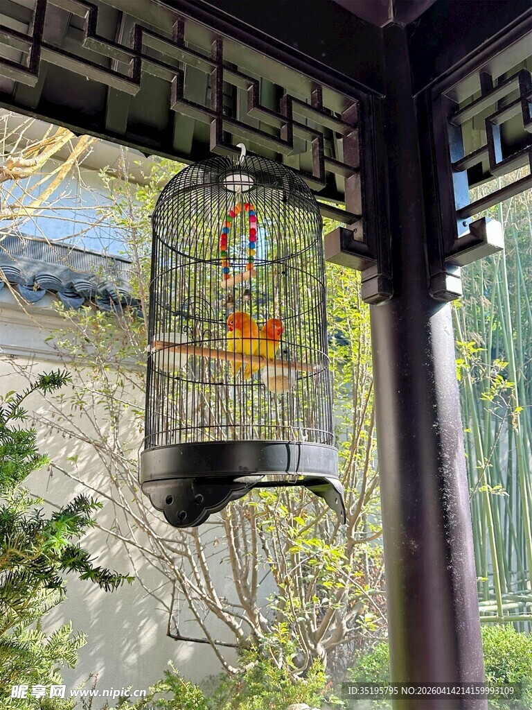 中式窗景下的盎然春色