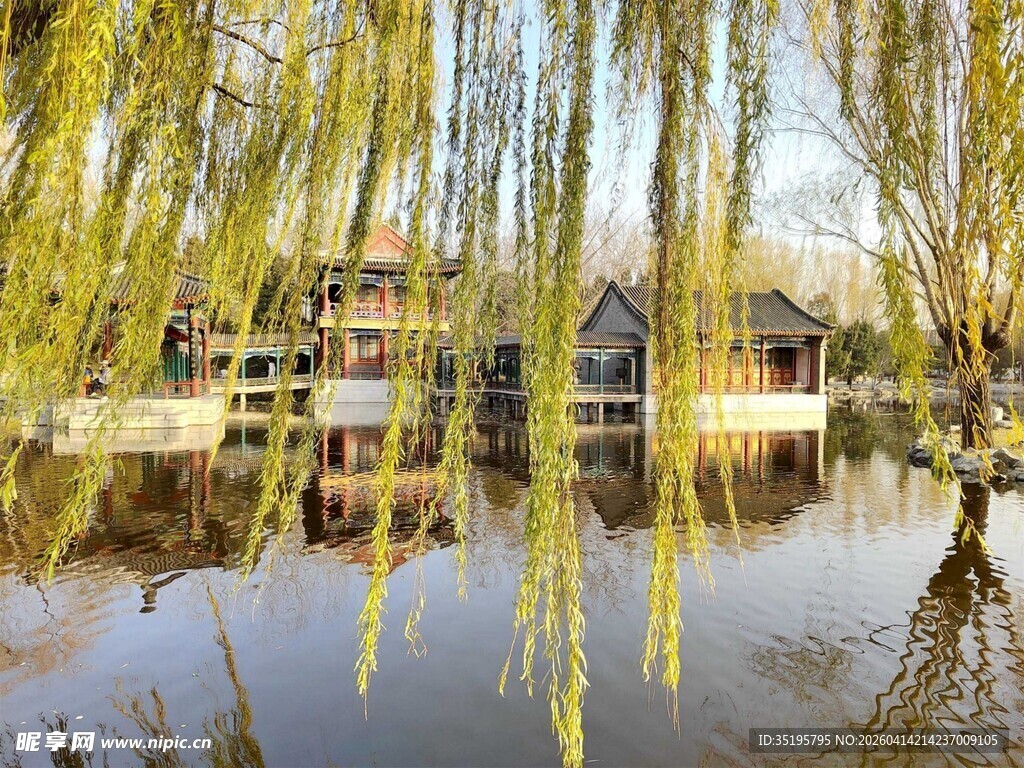 湖畔垂柳映古建美景