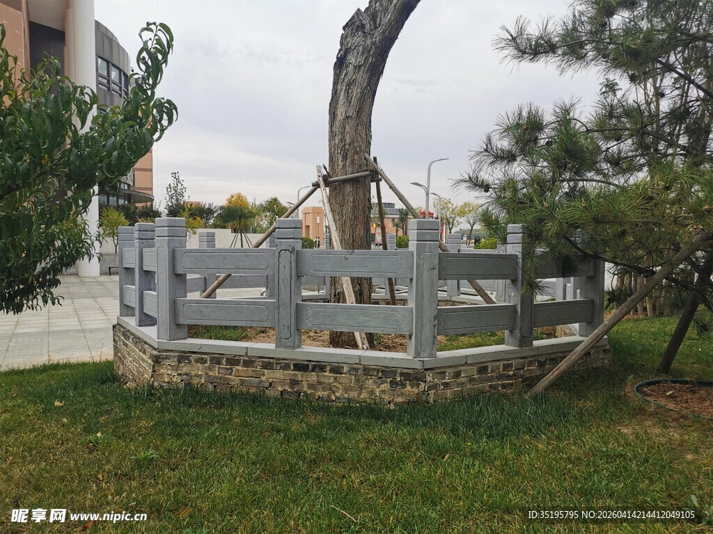 庭院中独特造型的树木围栏