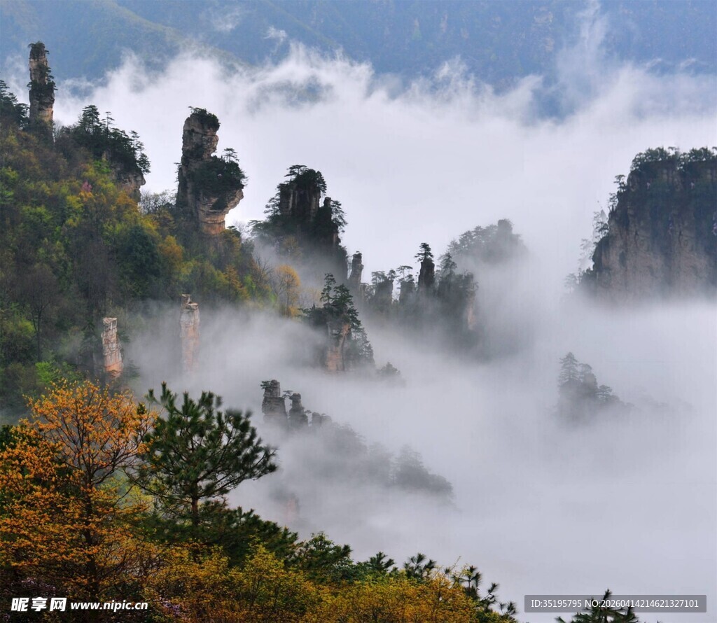 云雾缭绕的奇峰美景