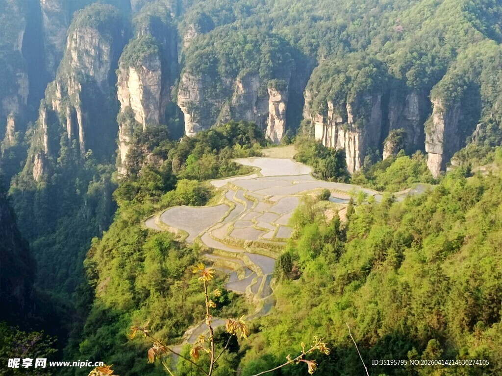 壮丽山谷风景