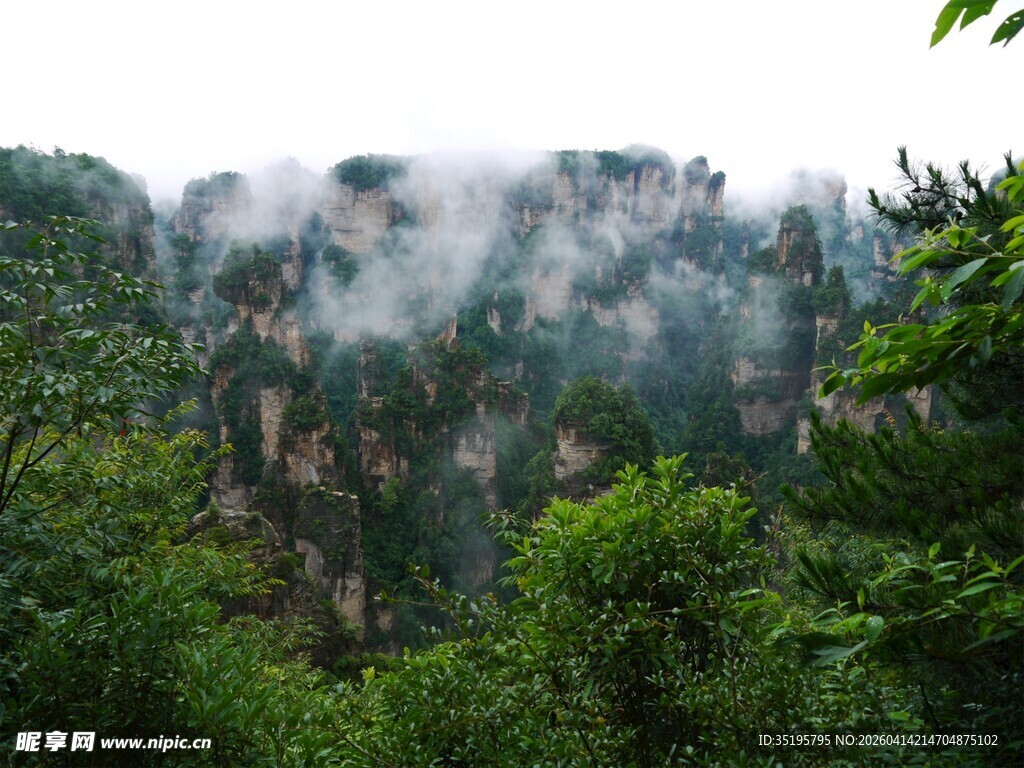云雾缭绕的山林美景