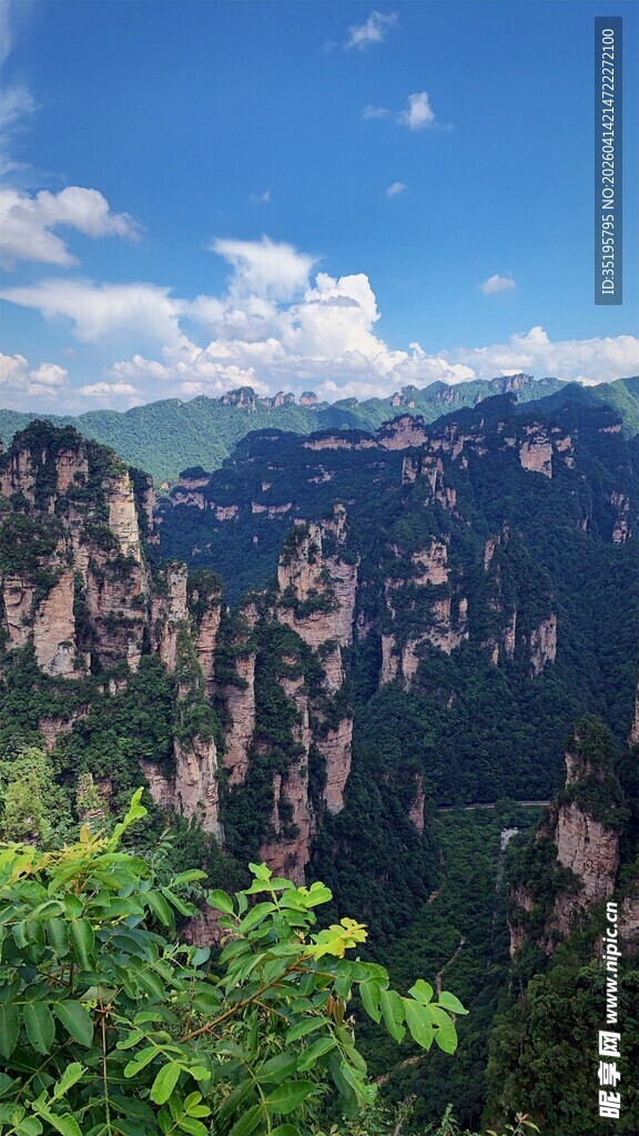 壮美山峦绿意盎然