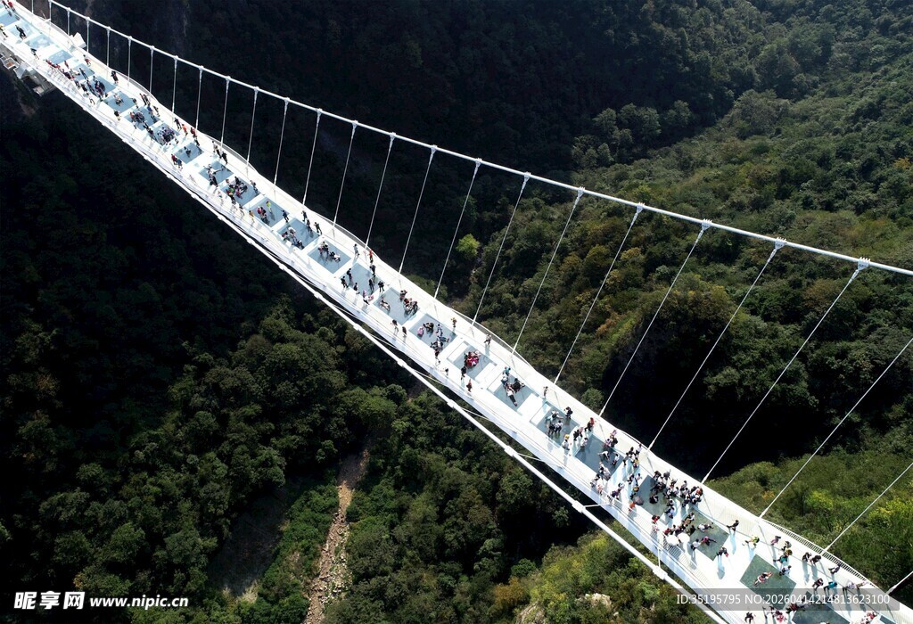 高空索桥横跨翠绿山谷