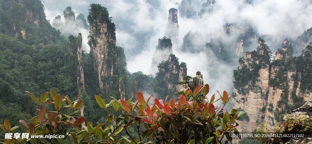 张家界奇峰美景