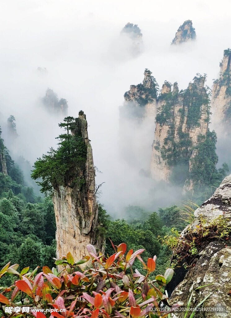 张家界奇峰云雾美景