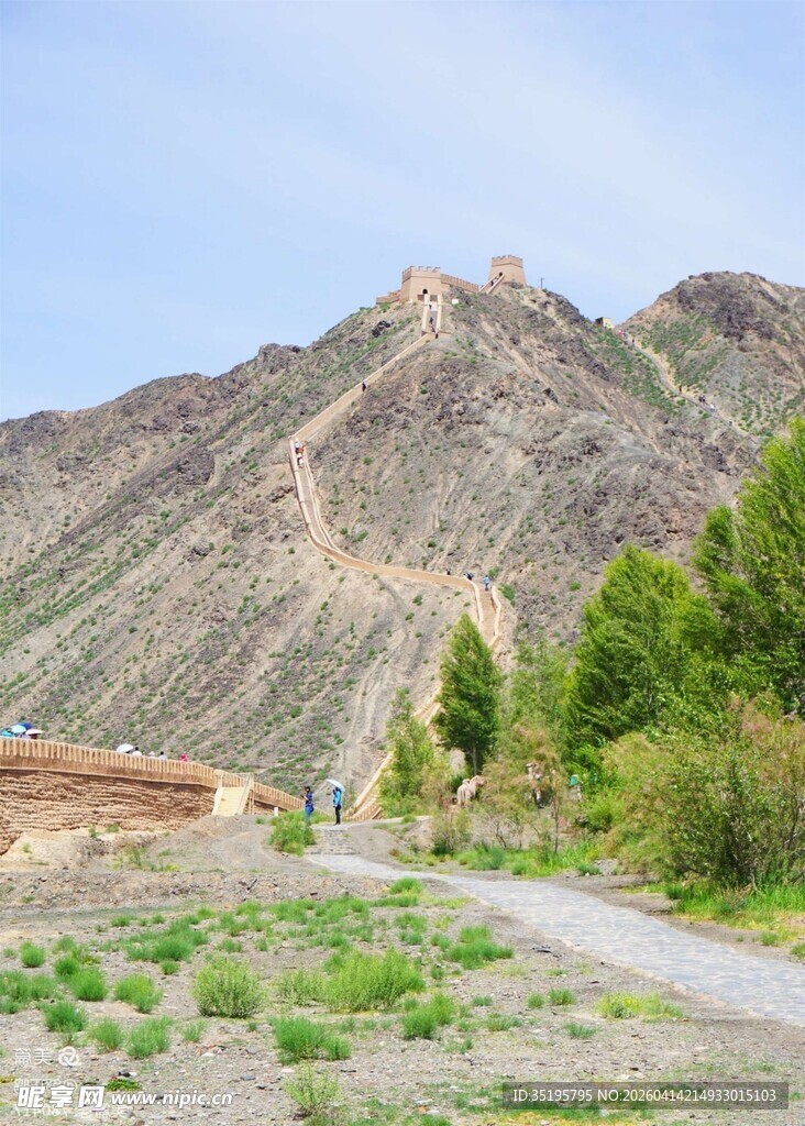 山间小道旁的葱郁绿植