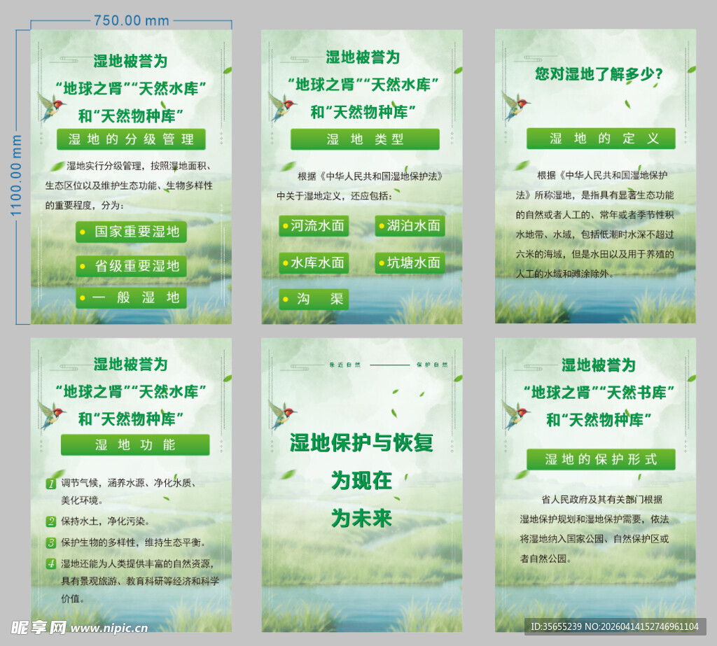 湿地保护宣传海报