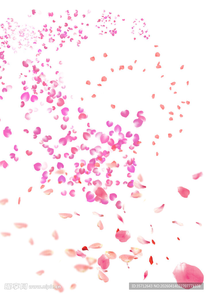 粉色花瓣素材