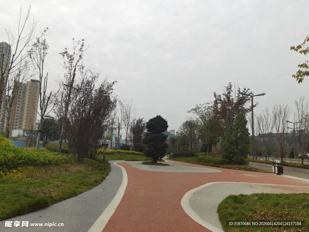 城市公园中的蜿蜒步道