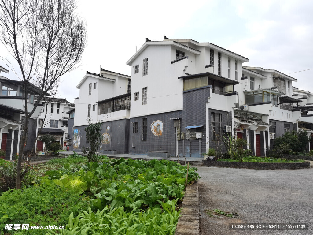 中式联排别墅景观