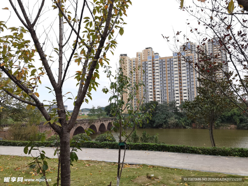 小区周边绿化景观