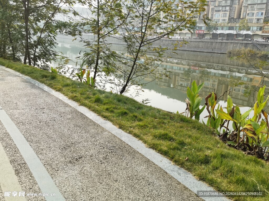 河畔小径绿植景观
