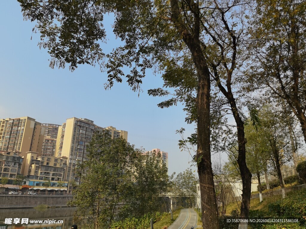 城市河畔绿树景观