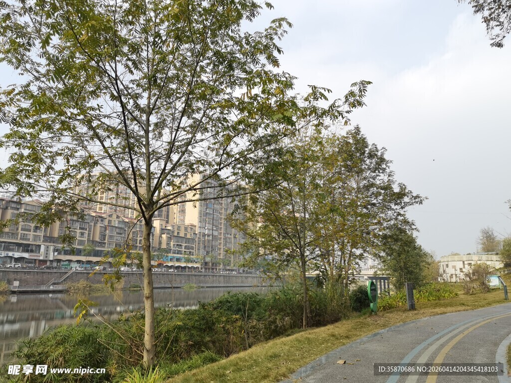 城郊公路旁的绿树与建筑