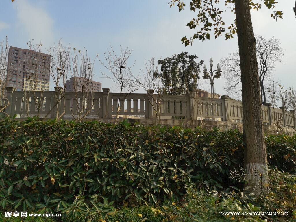 户外绿植旁的建筑景观