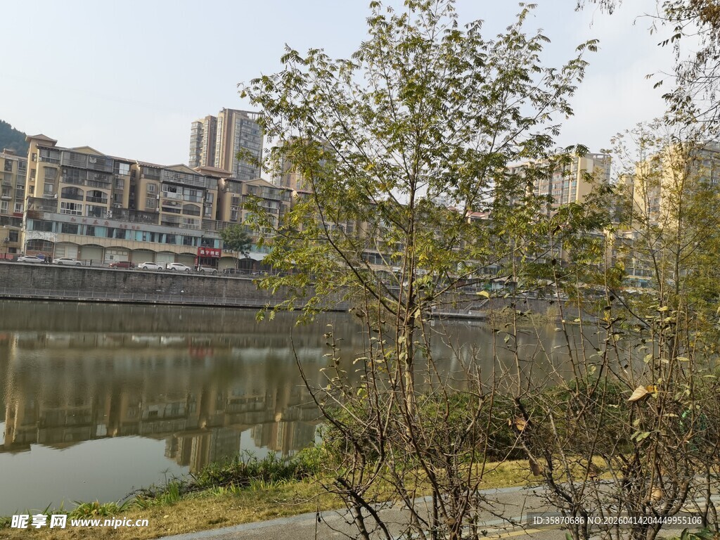 河畔风景绿树与建筑相映