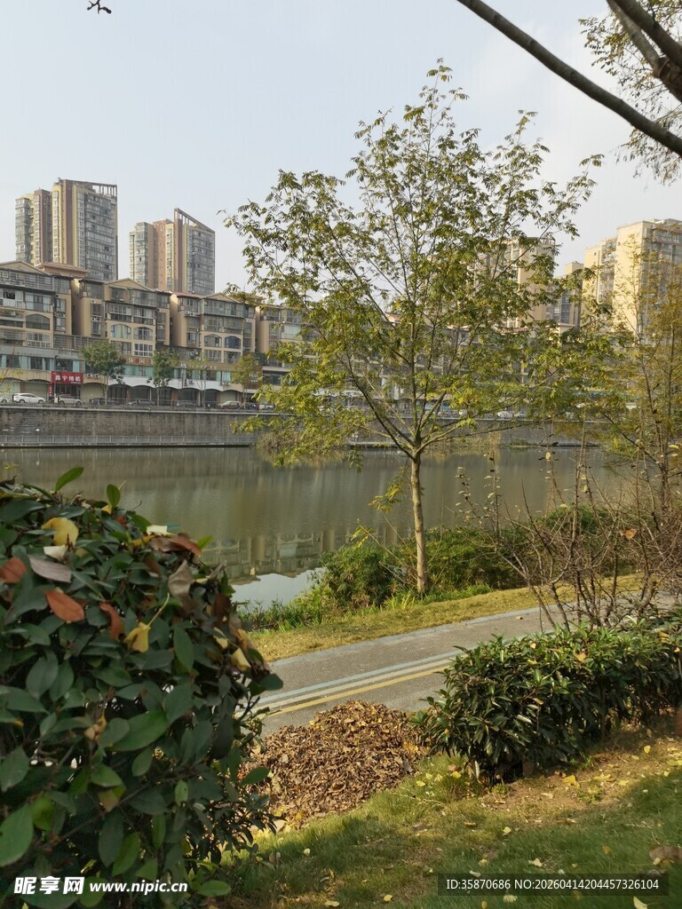 河畔城市风光绿植相伴