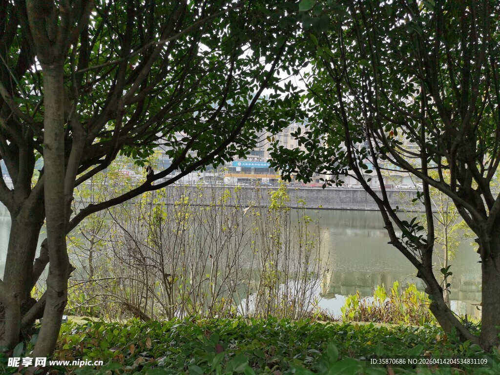 林间湖畔景致