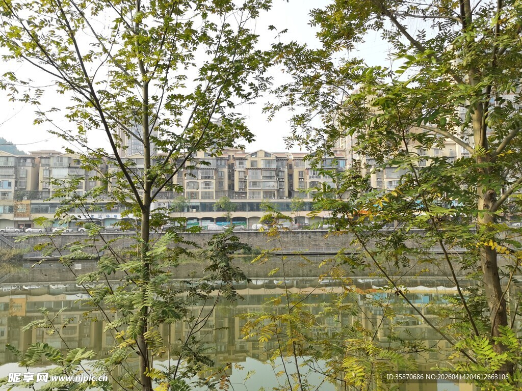 城市河畔绿树景观