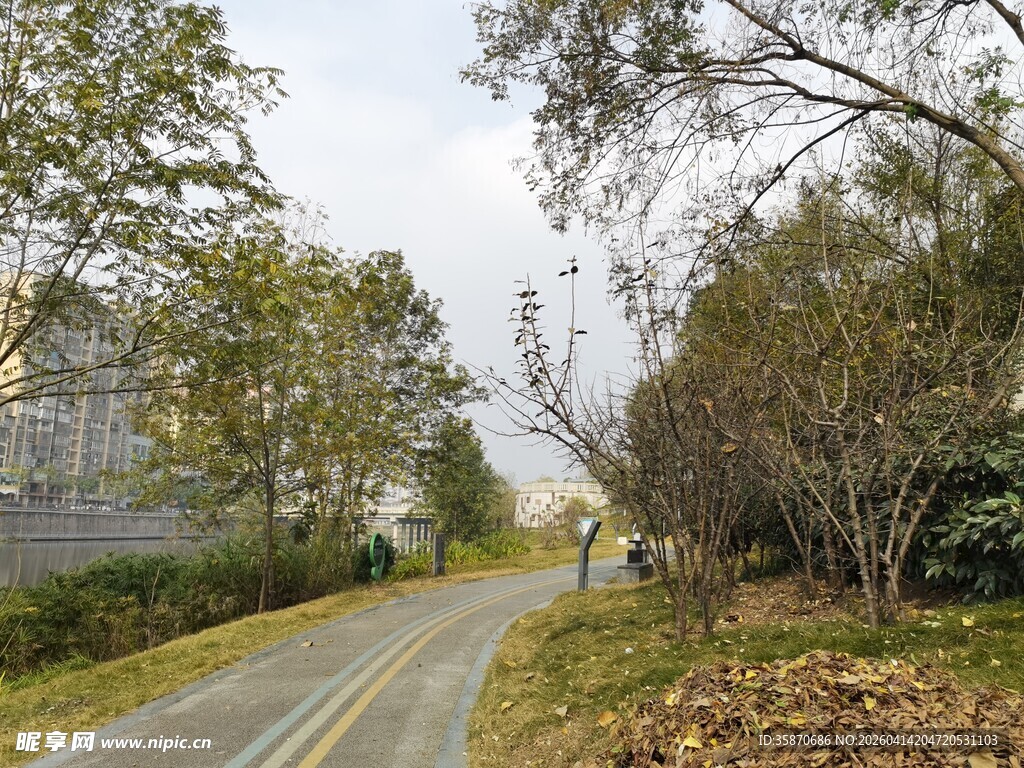 秋日林间静谧小路