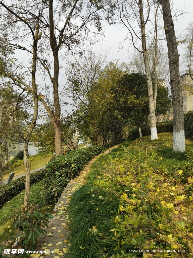 秋日林间小径美景