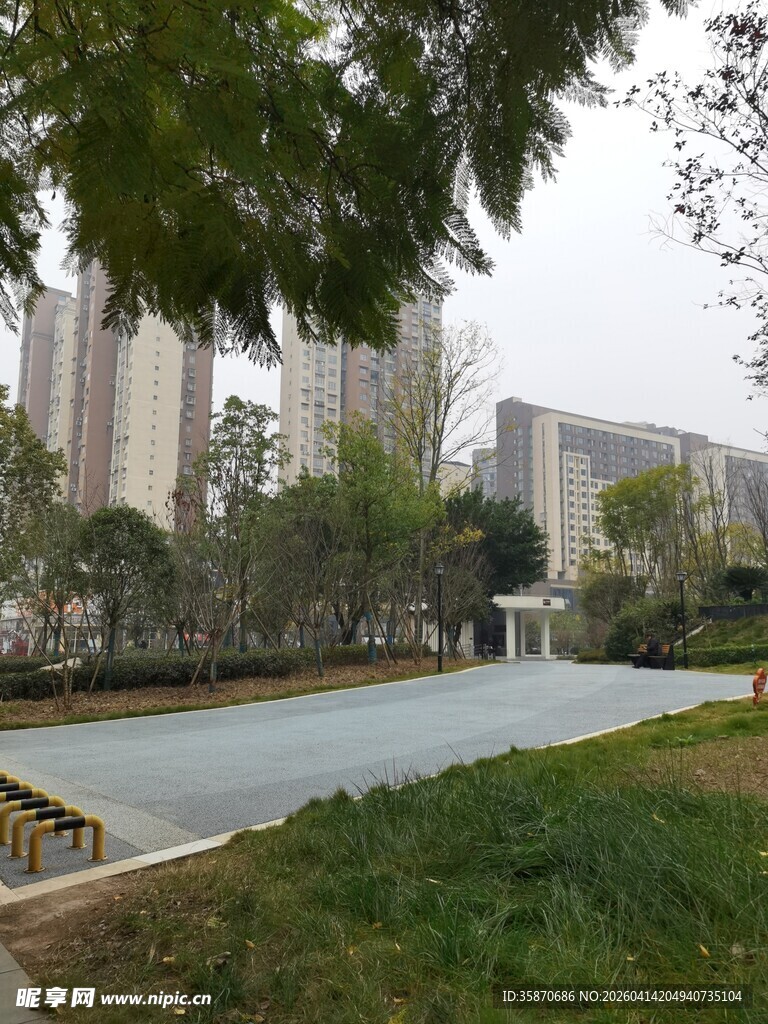 城市公园中的静谧景观