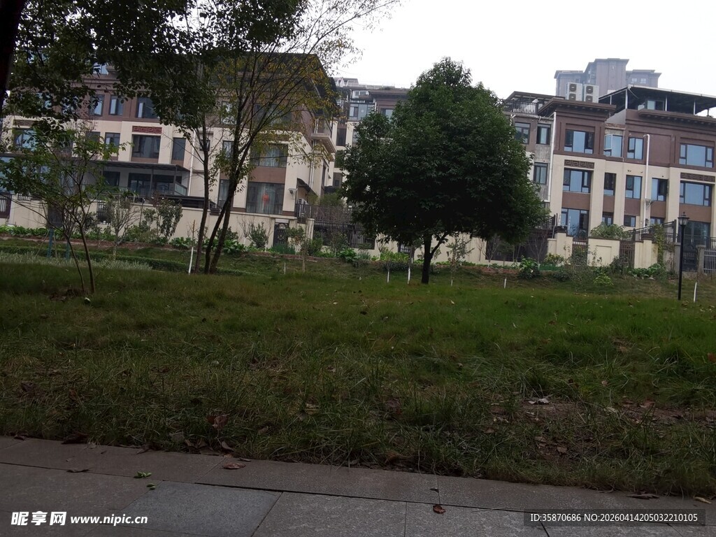 小区外的草地与建筑景观