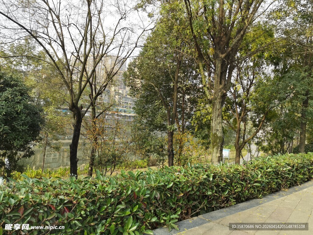 公园绿植景观