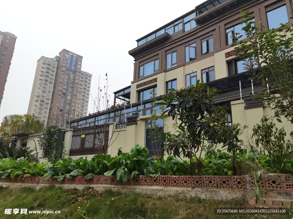 现代住宅旁的绿植景观
