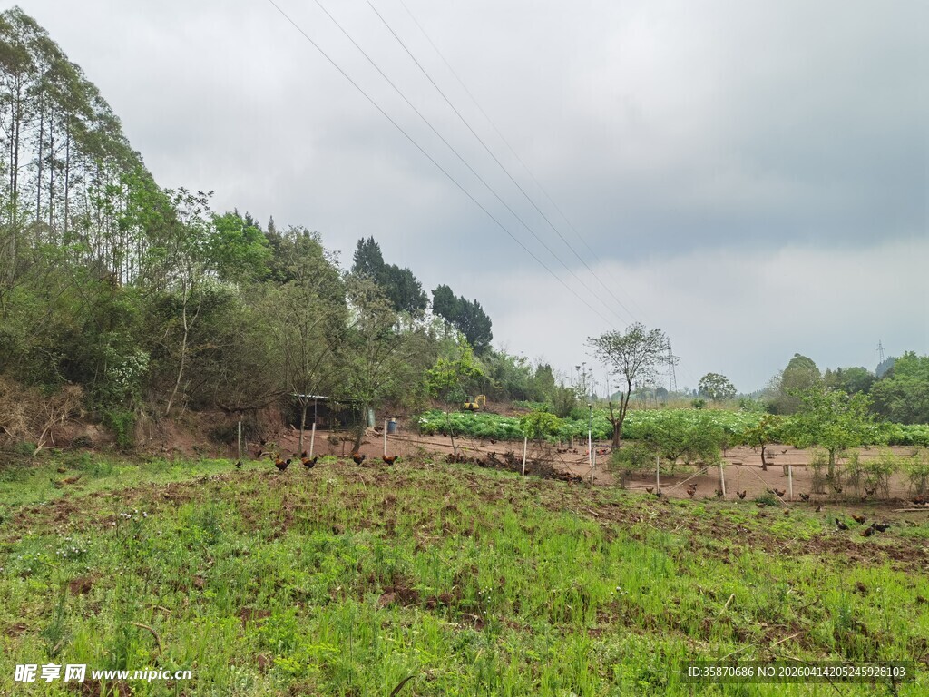 田野间的绿意与周边景致