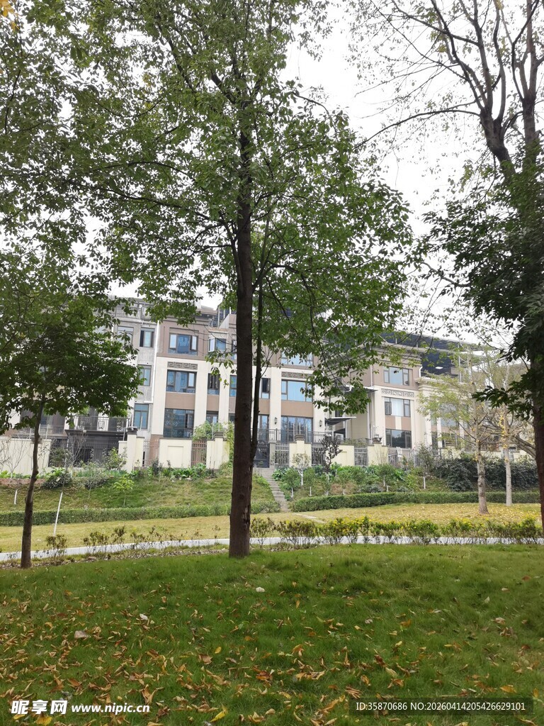 校园绿意景致