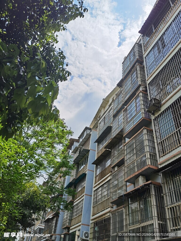 老旧居民楼外绿树相伴