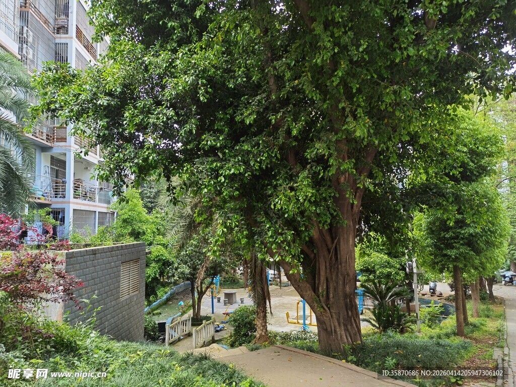 城市中的静谧绿荫小道