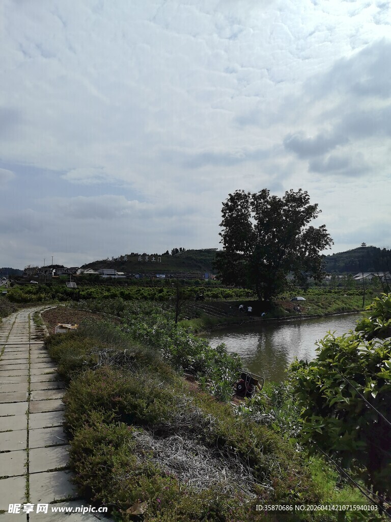 乡间小径旁的自然风光