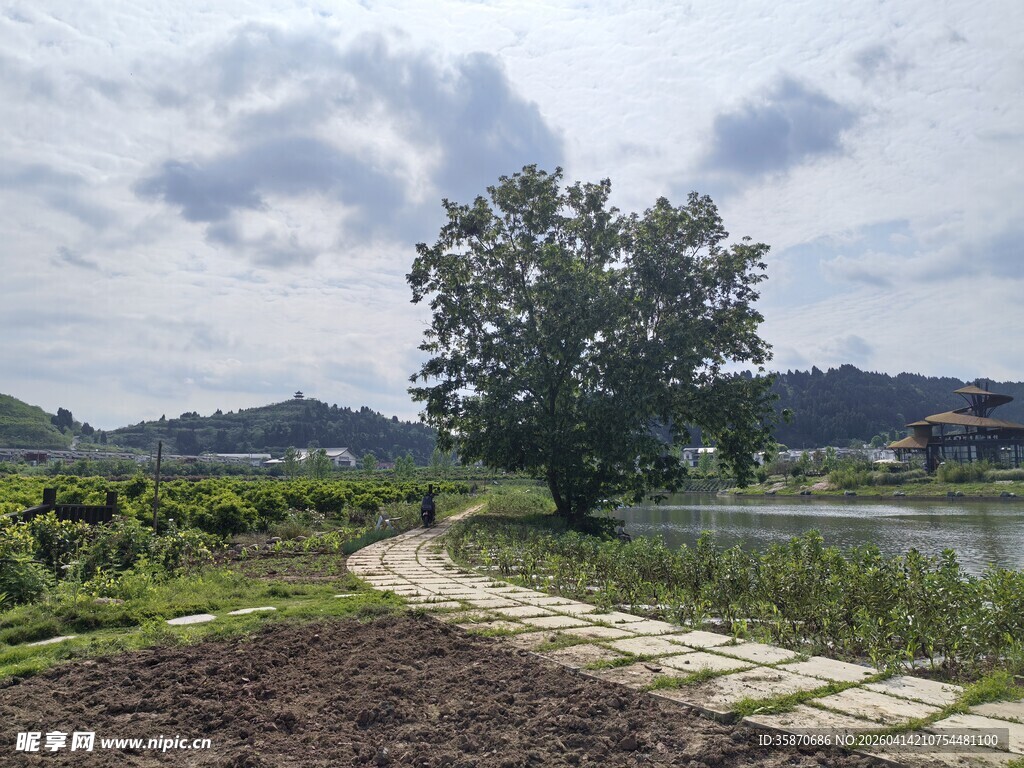 乡村湖畔的宁静小道风景