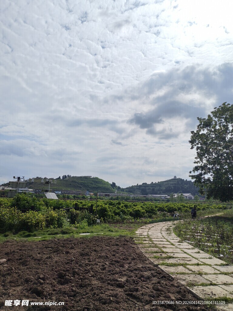 乡村田间小路田园风光