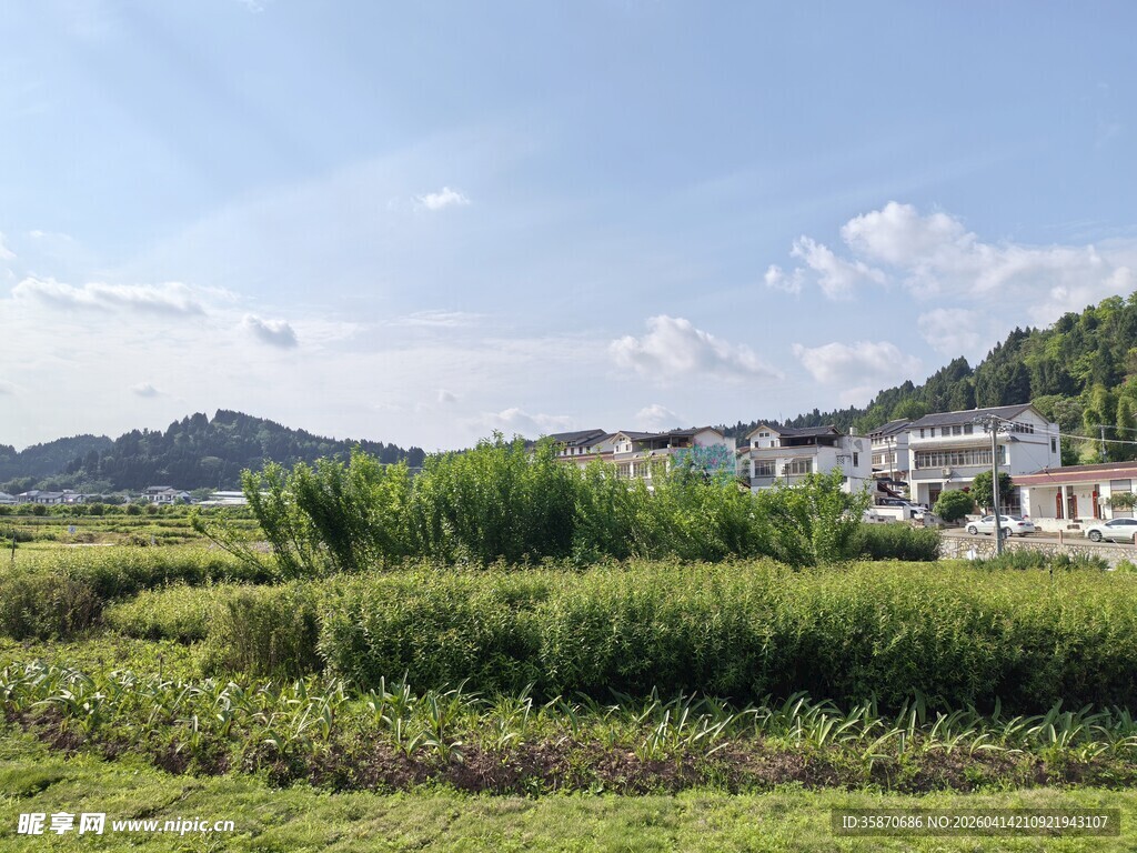 乡村绿野风光美景