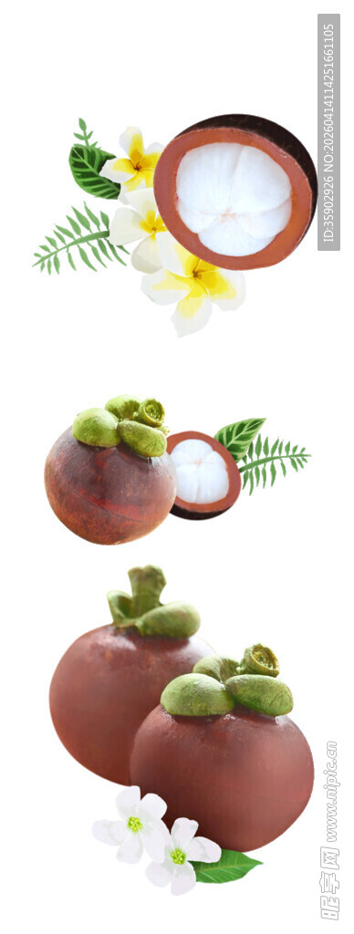 新鲜山竹特写展示